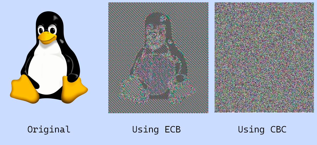 ECB e CBC a confronto su Cryptea: Encryption served hot.